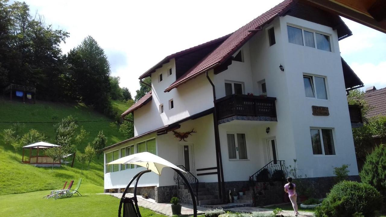 Pensiunea Vladut Bran  Exterior photo